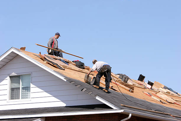 Best Tile Roofing Installation  in Jasmine Estates, FL