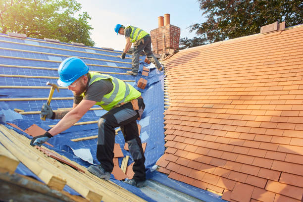 Best Cold Roofs  in Jasmine Estates, FL